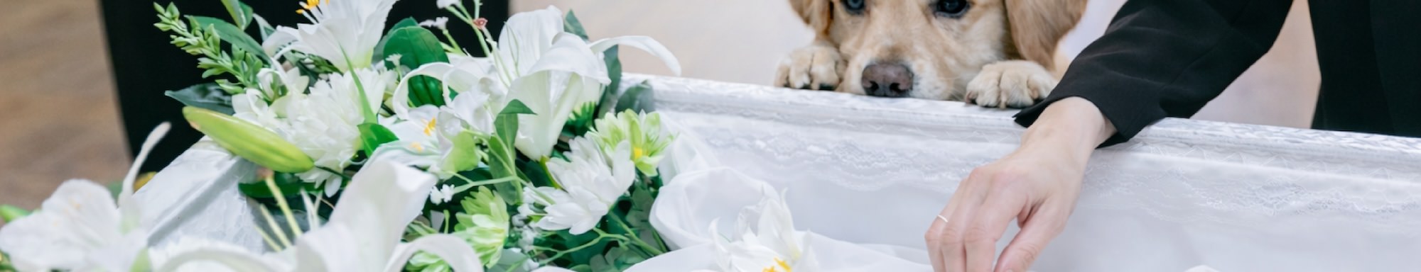 ペット帯同サービス