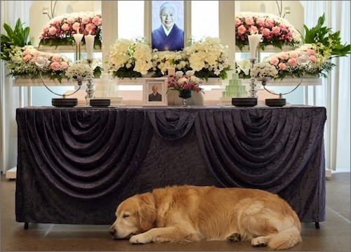 周囲を気にせず過ごせる