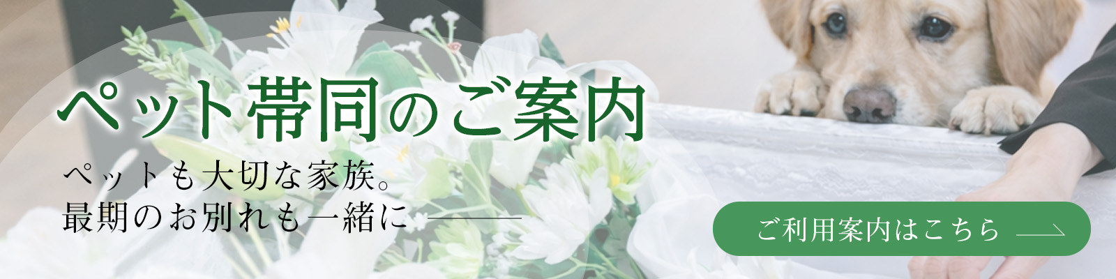 ペット帯同サービス
