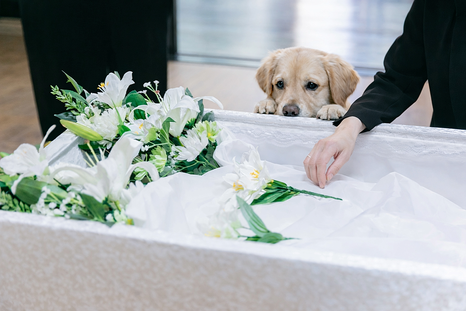 ペットと一緒に参列できます。